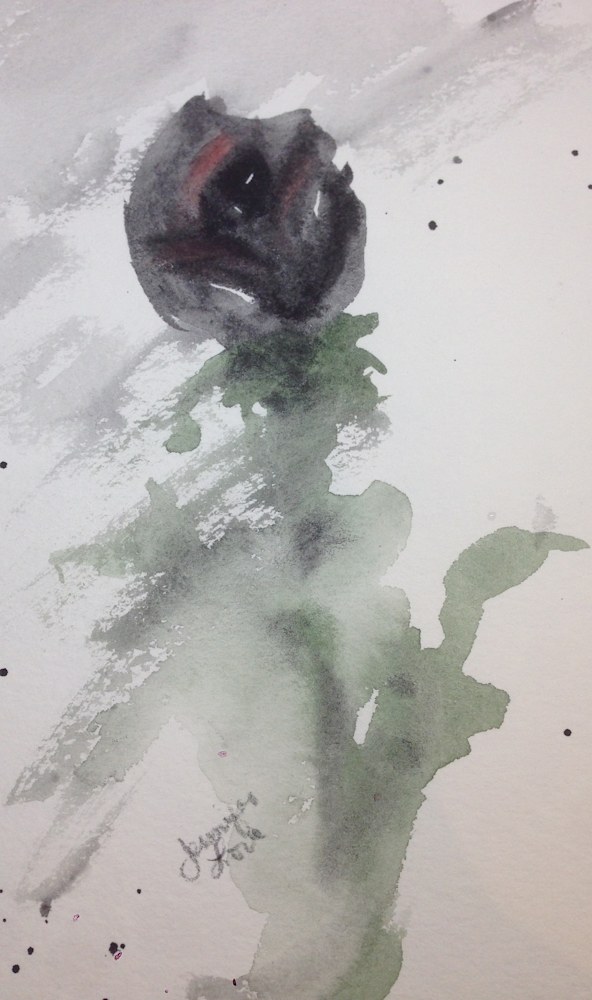 black rose 2 cropped