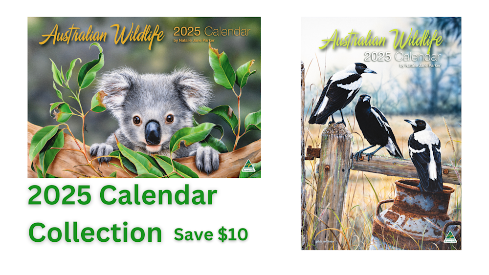 2025 Calendar Collection