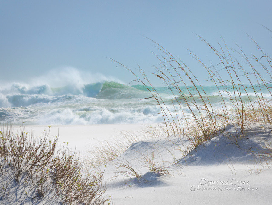 2025 Cal 0003 Feb Photo