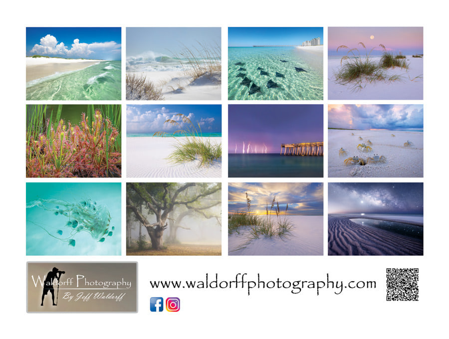 2025 Cal 0025 Back Cover