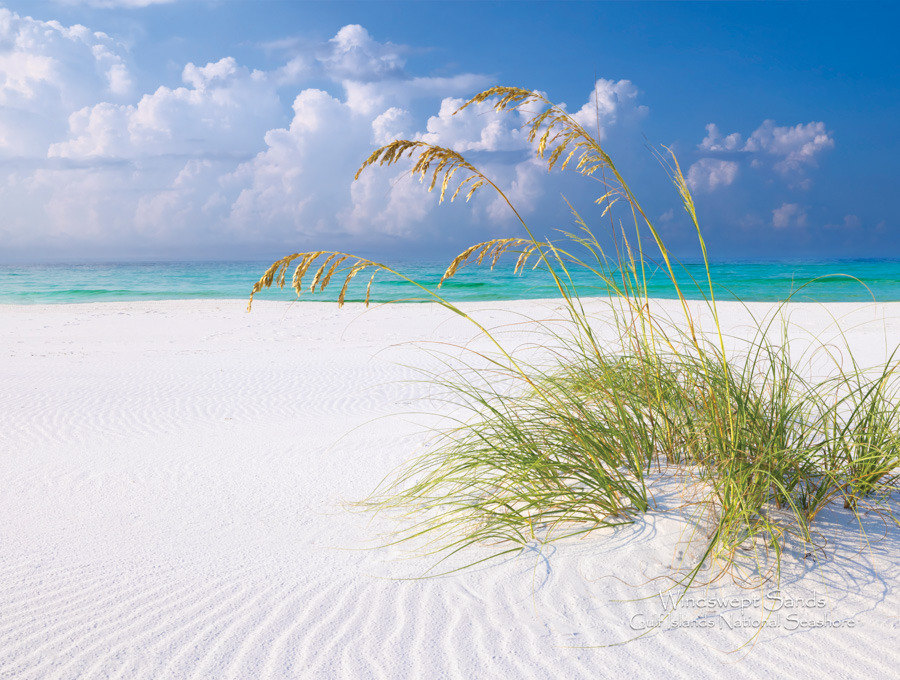 2025 Cal 0011 Jun Photo