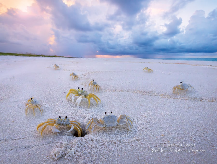 2025 Cal 0015 Aug Photo