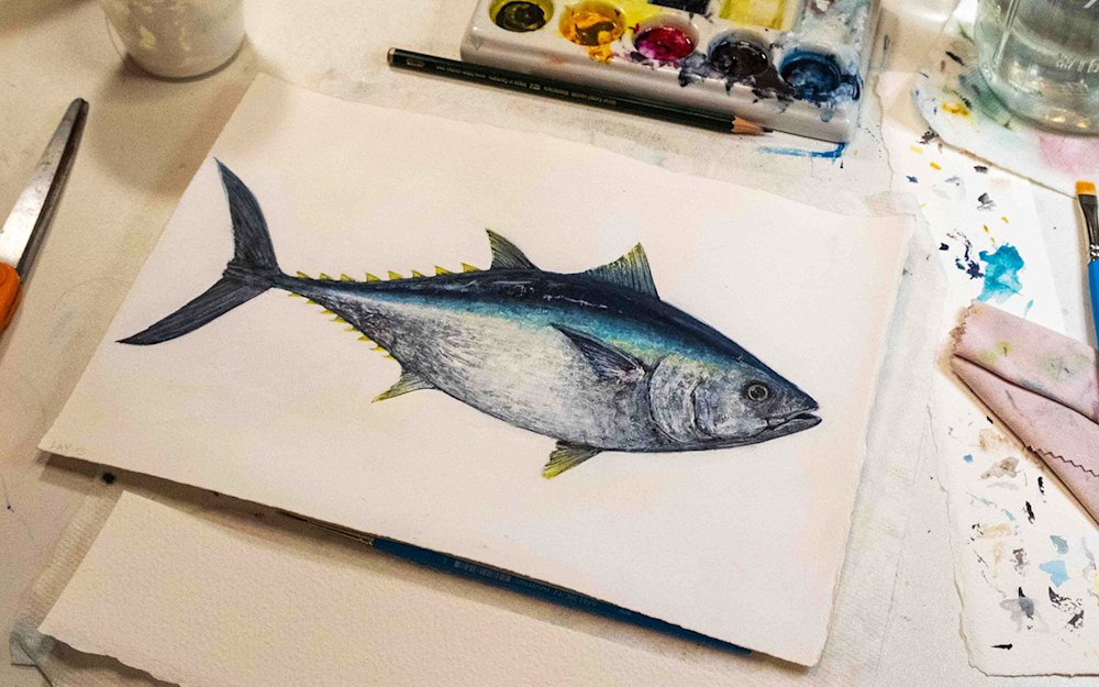 Bluefin2R storyphoto2