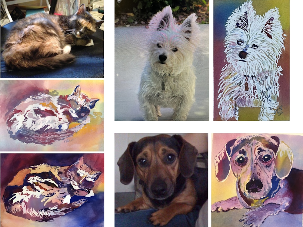 Pet Portraits
