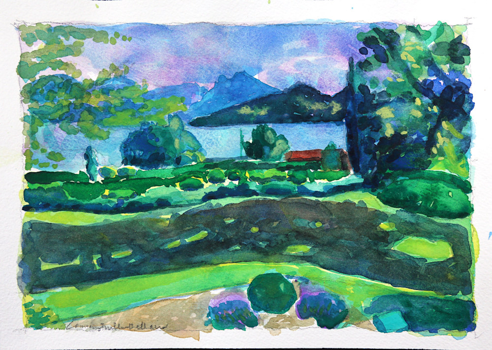 796 Garden with large shadows