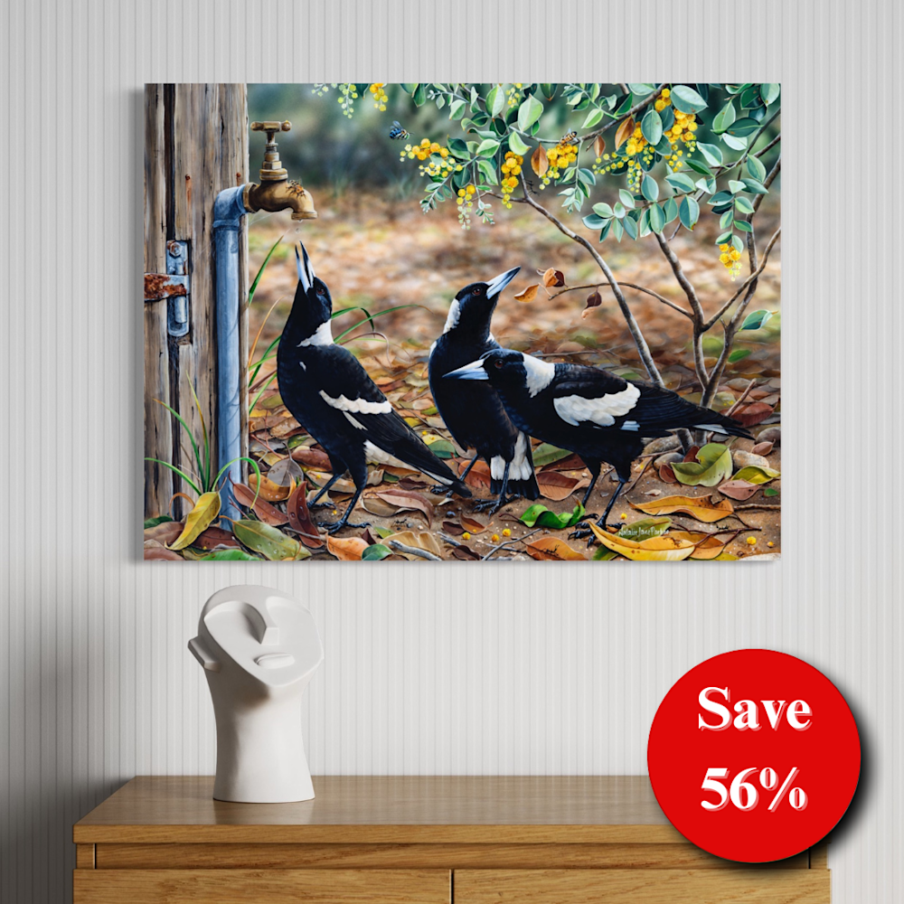 56% off (3)