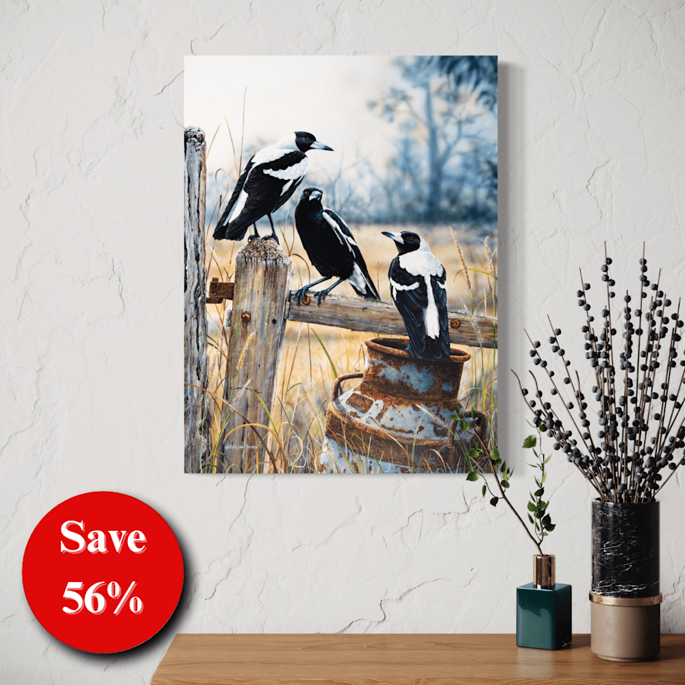 56% off (2)