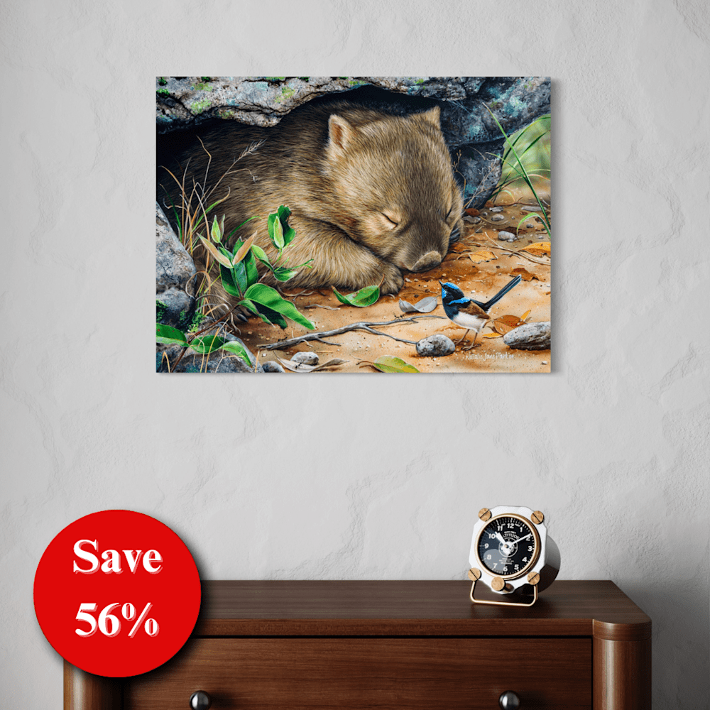56% off (9)
