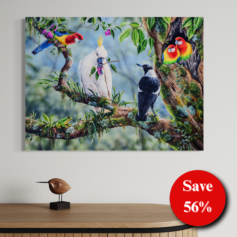 56% off (12)
