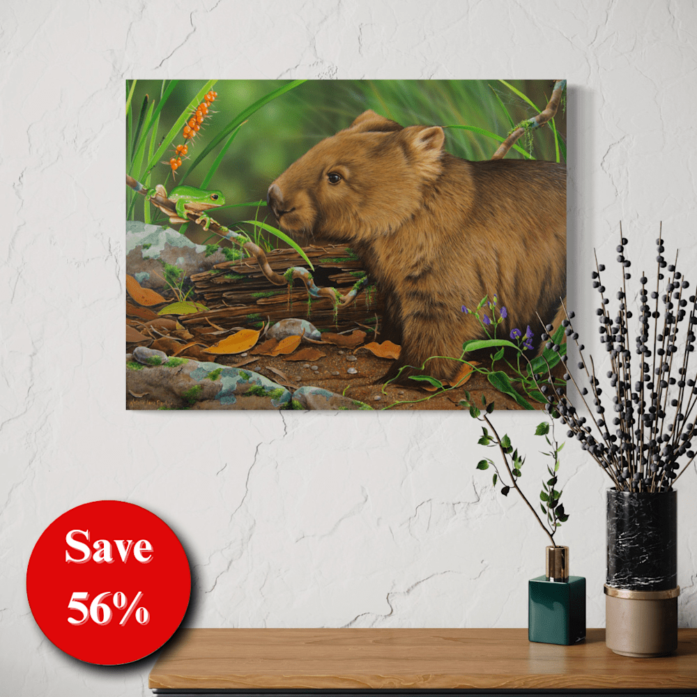 56% off (13)