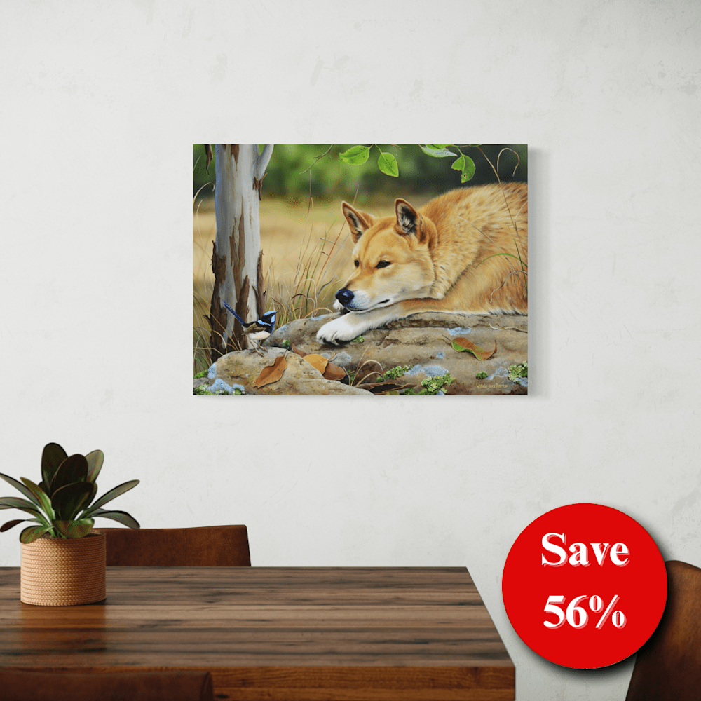 56% off (15)