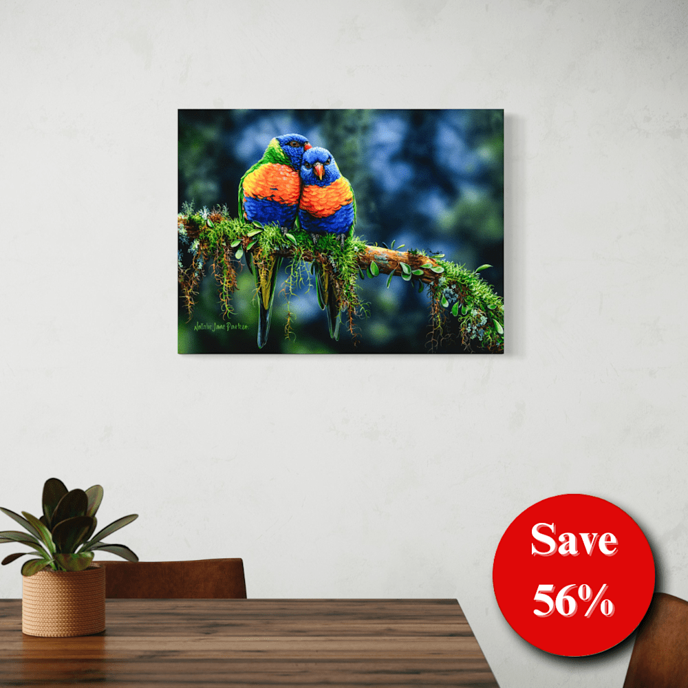 56% off (17)