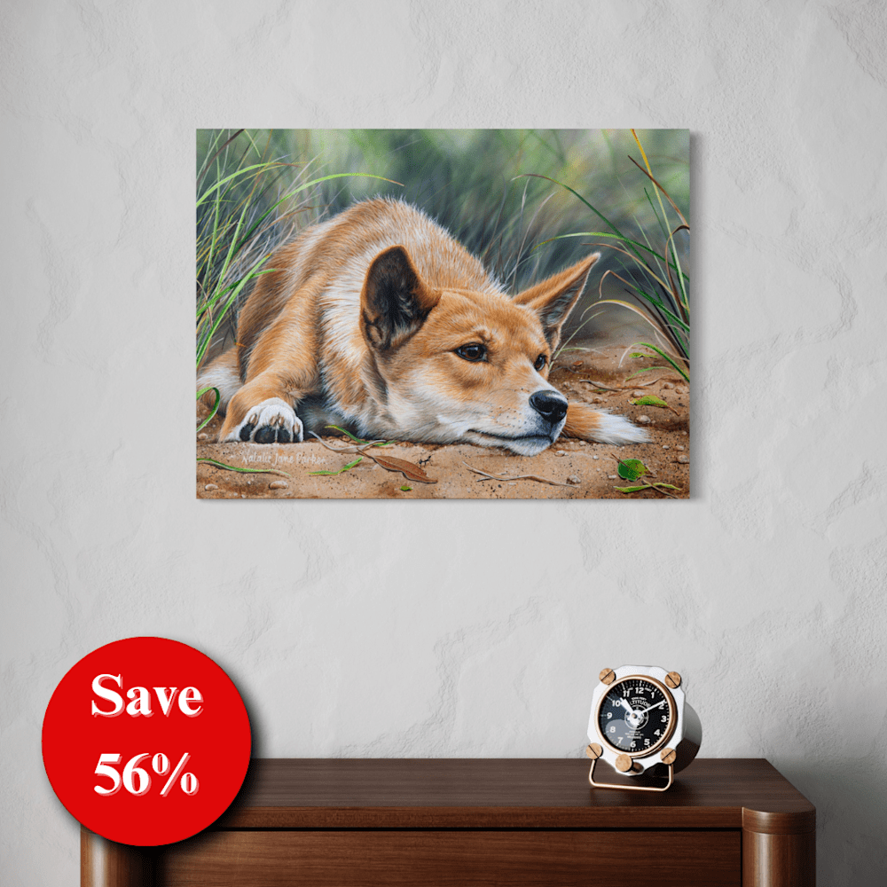 56% off (7)