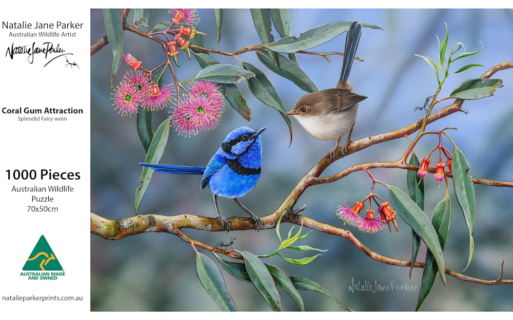 Coral Gum Attraction web Res cover only
