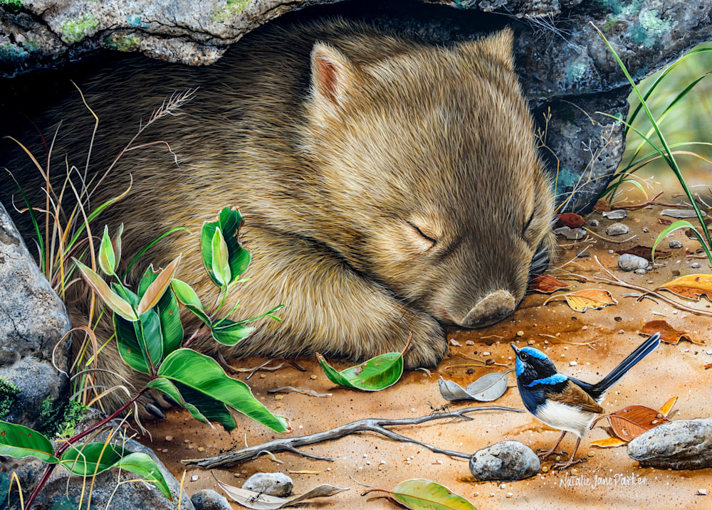 Deep Sleeper 70x50cm puzzle