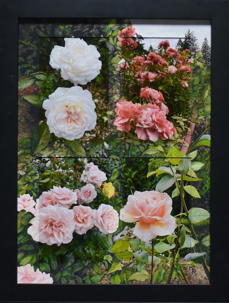 Blush in the Garden 13x17 $500