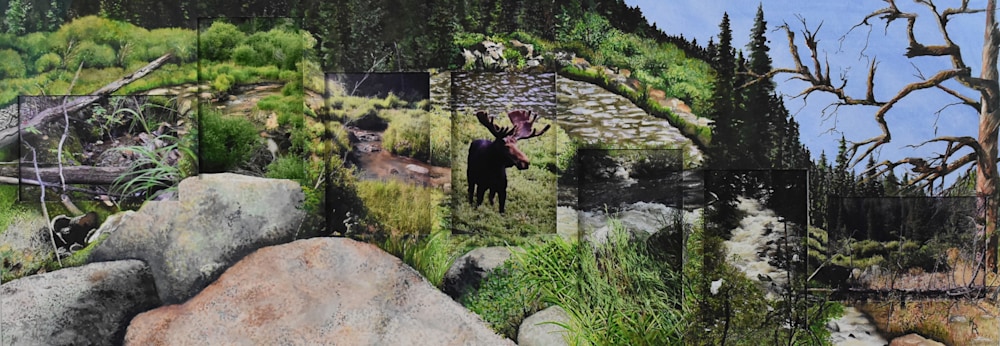 Moose At home 39