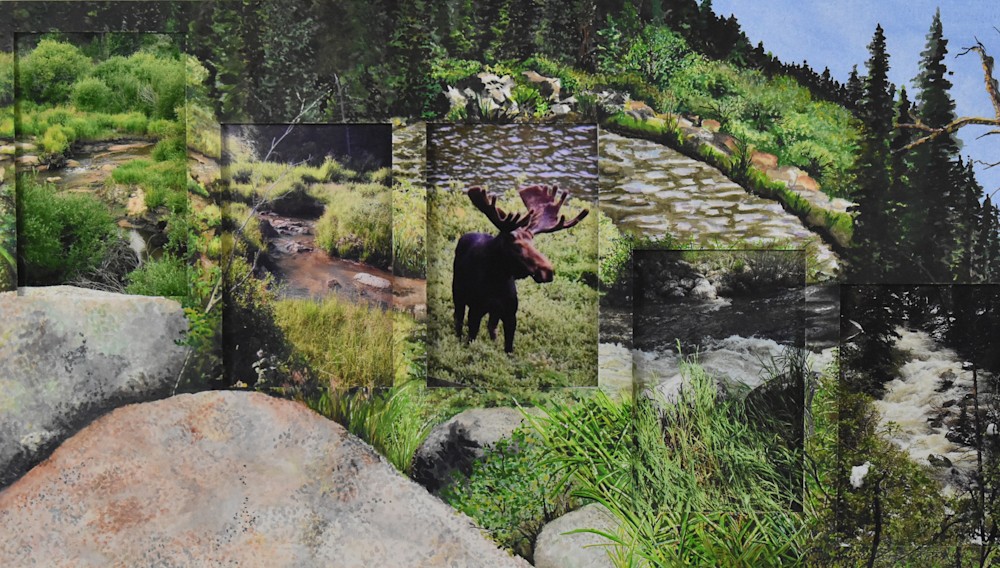 Moose At Home center close up
