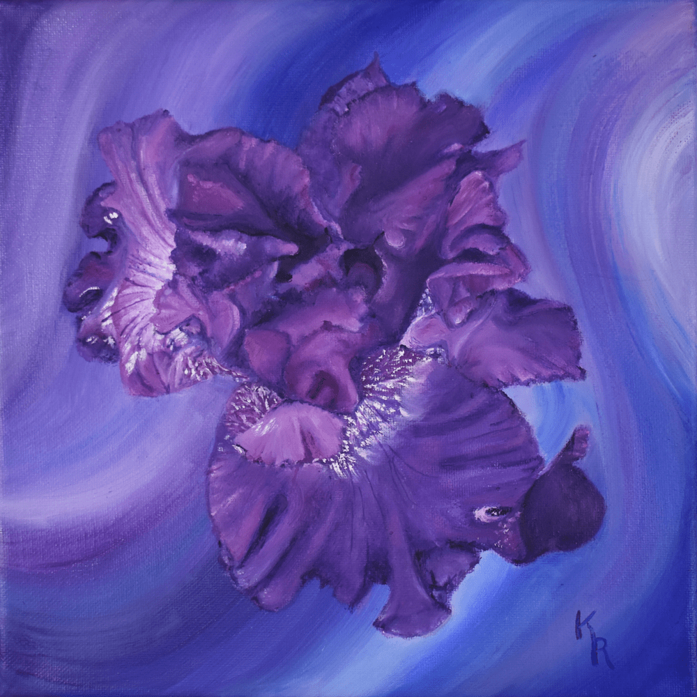 Purple Ruffled Iris 10x10 225