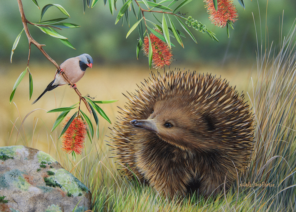 Chance Meeting 70x50cm puzzle