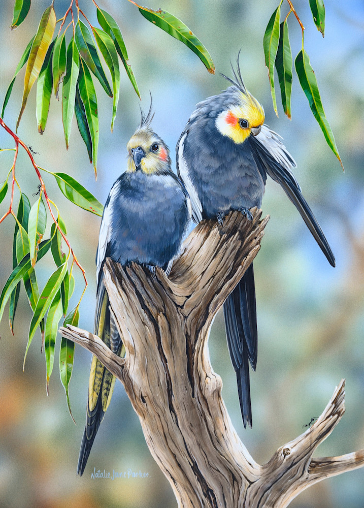 Duo 50x70cm puzzle