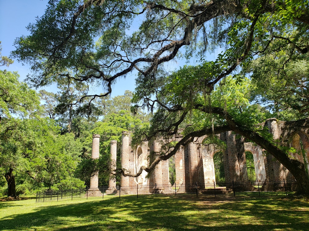 Old Sheldon Church Ruins (11)