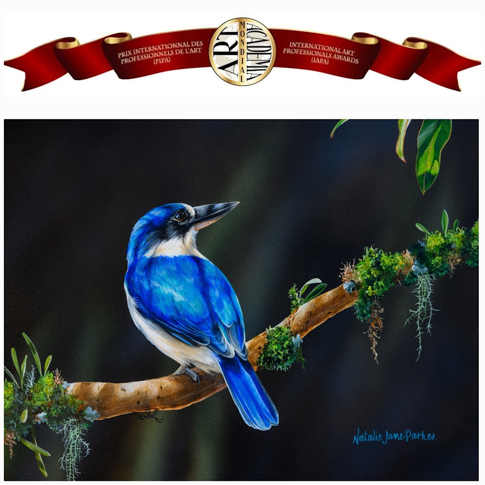 495369797 1300358542094485 6074628130273563853 n