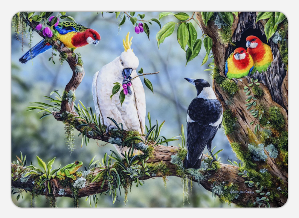 Screenshot 2025 06 17 at 11