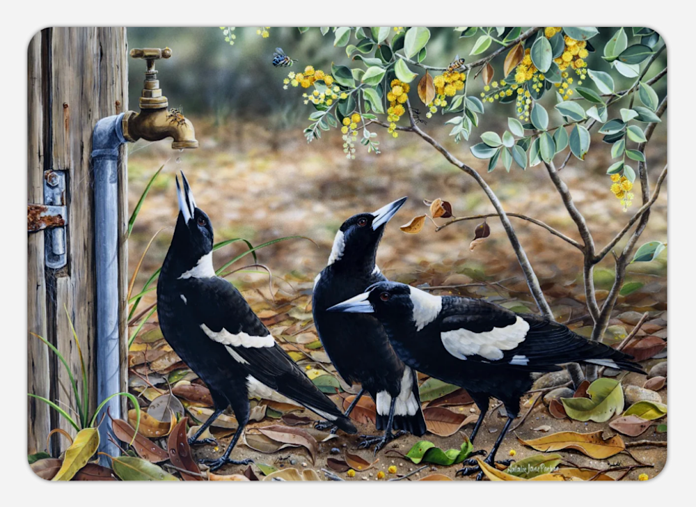 Screenshot 2025 06 17 at 11