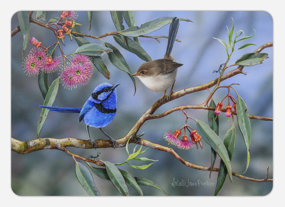 Screenshot 2025 06 17 at 11