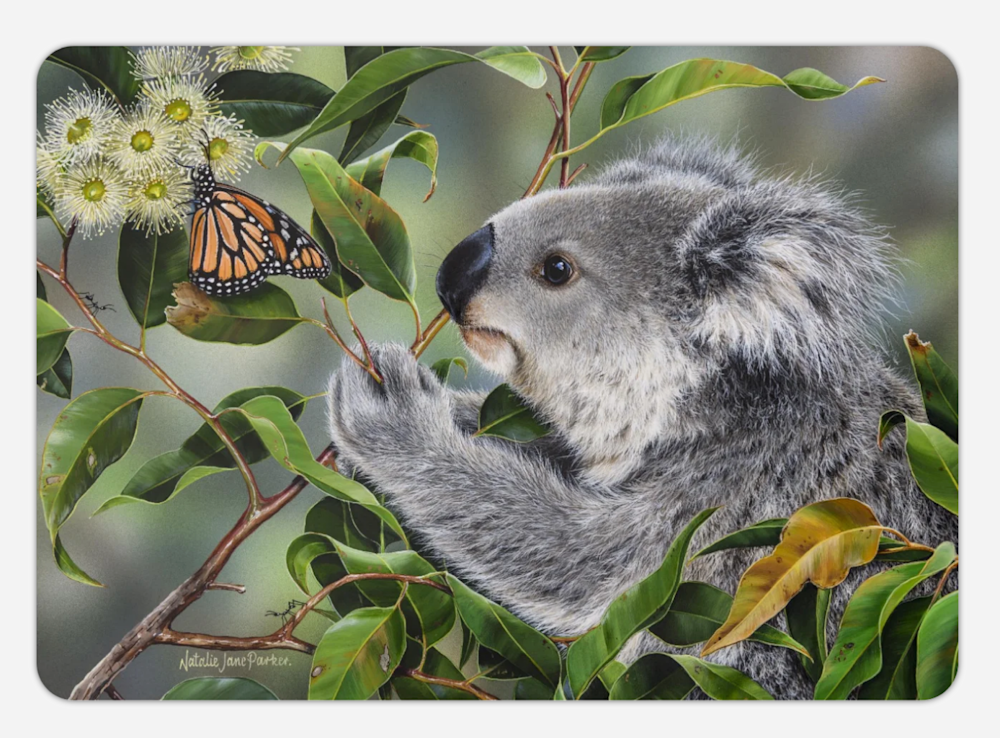 Screenshot 2025 06 17 at 11