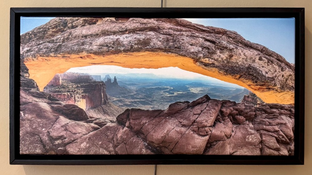 Natureswindow Jay Mason