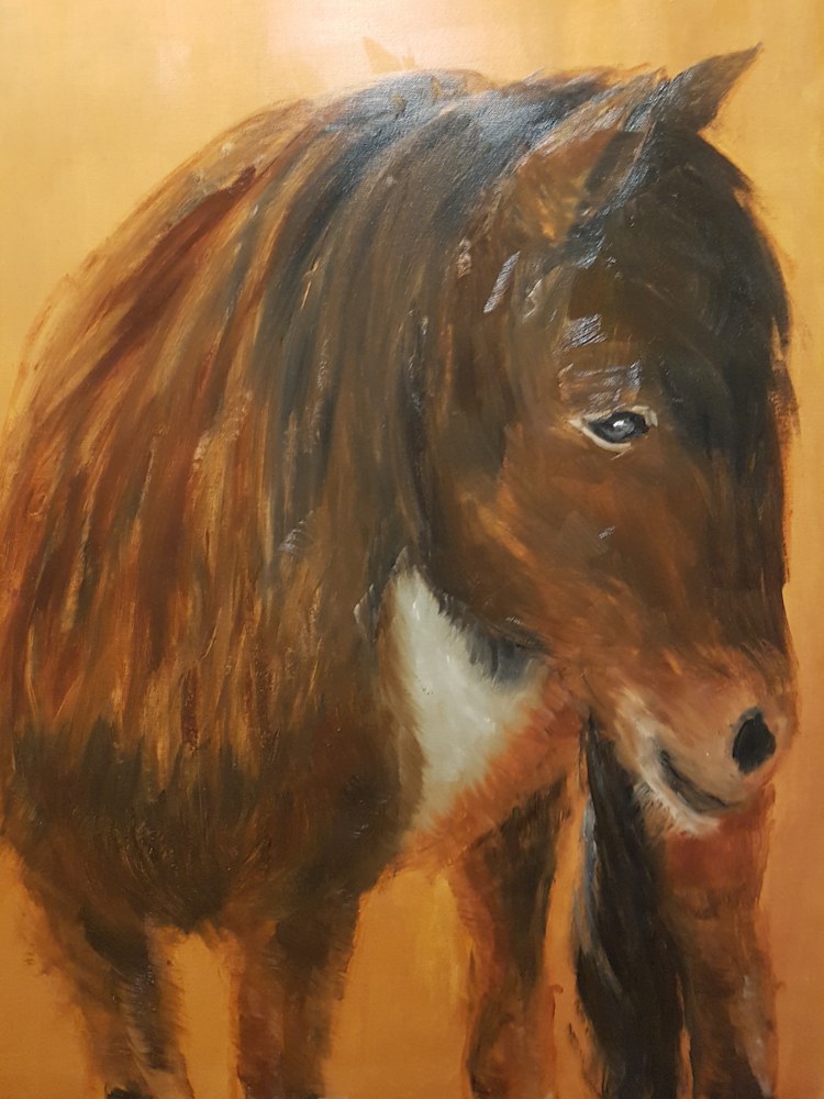 Fusse in snow f3yhfo