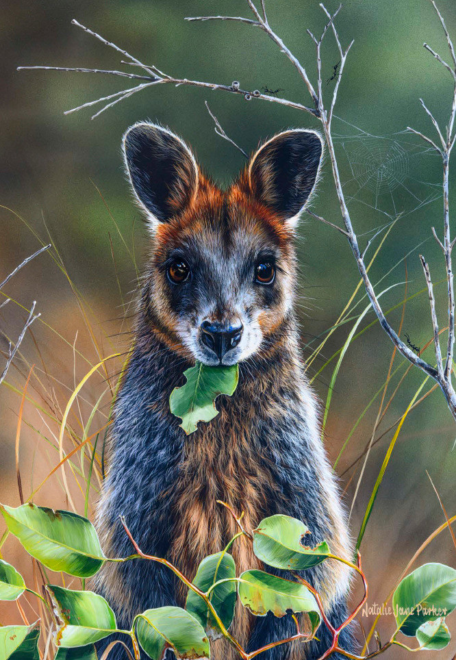 B114109 JLFAP   2026 Calendar 340x235mm PORTRAIT Aust Wildlife LR 18