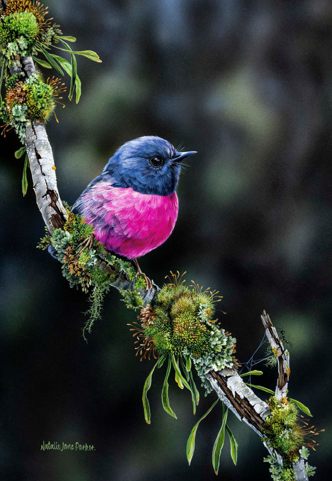 B114109 JLFAP   2026 Calendar 340x235mm PORTRAIT Aust Wildlife LR 10