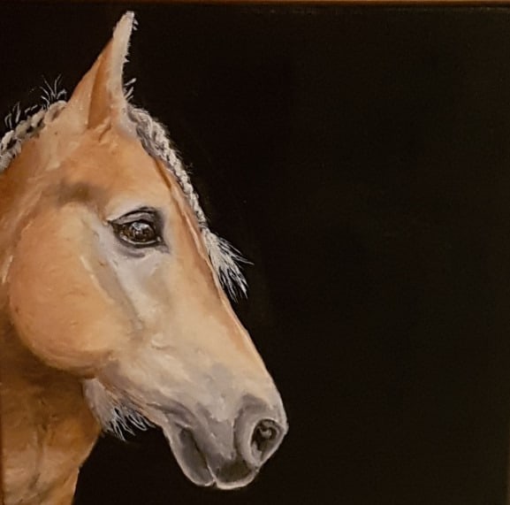 Haffe endelig xniyr0