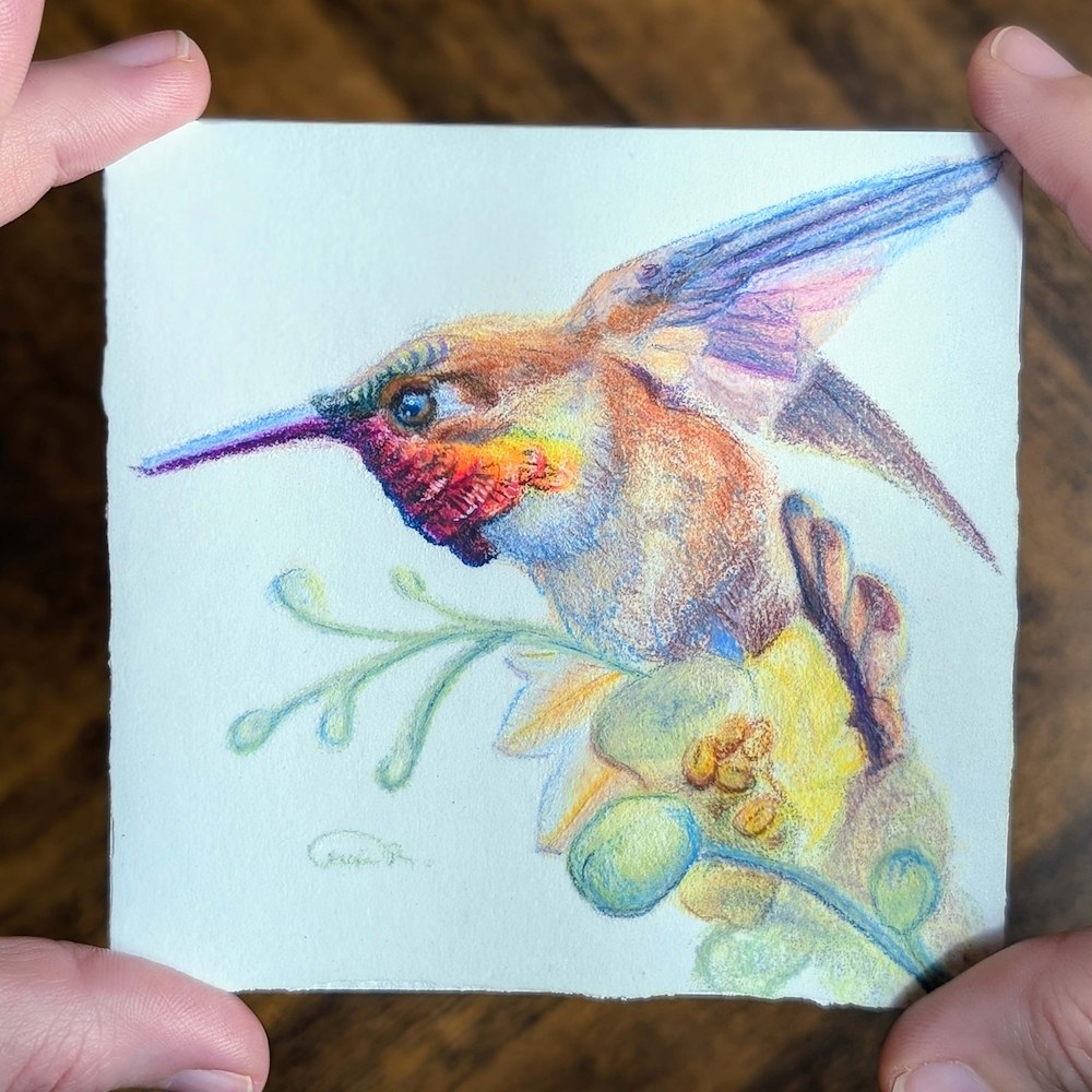 Hand holding Gemwing Rufous Desert Prism miniature hummingbird artwork over wood background