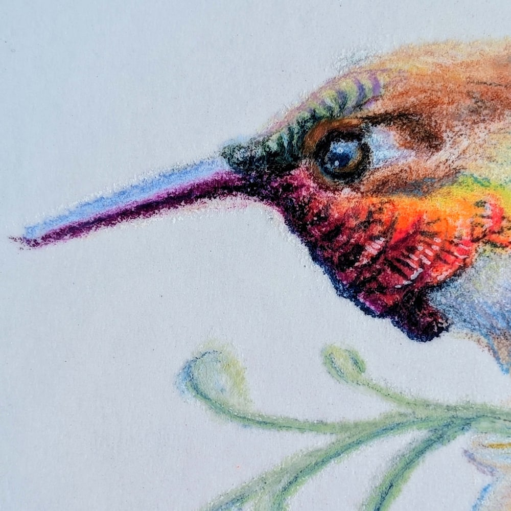 Close-up of hummingbird face from Gemwing Rufous Desert Prism color pencil artwork