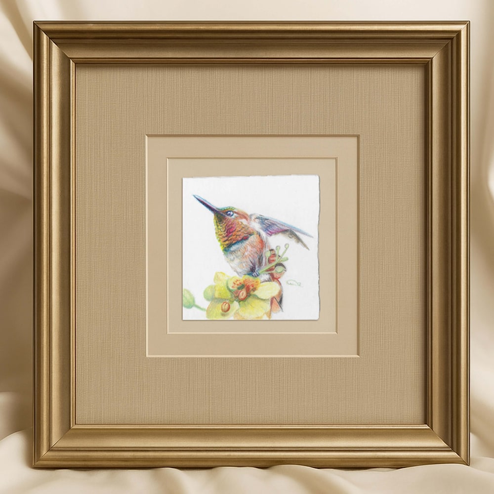 Framed color pencil artwork of a rufous hummingbird perched near golden desert blooms in a gold double-matted frame