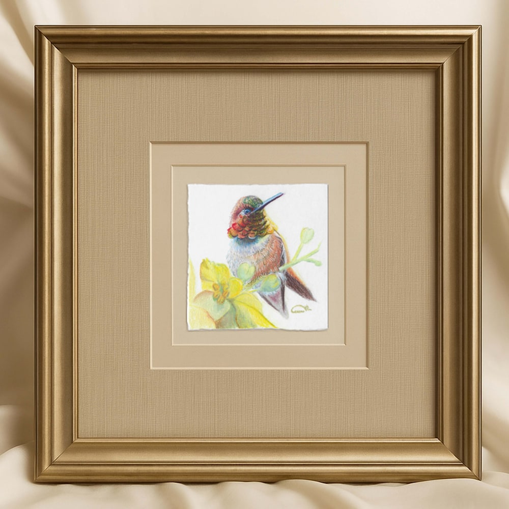 Framed miniature color pencil artwork of a rufous hummingbird with iridescent throat and yellow desert blossoms