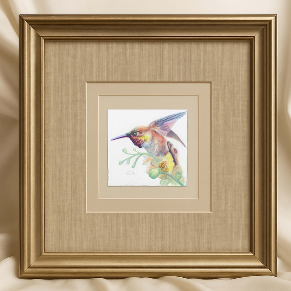 Framed color pencil hummingbird artwork featuring a rufous bird in flight with green desert branches