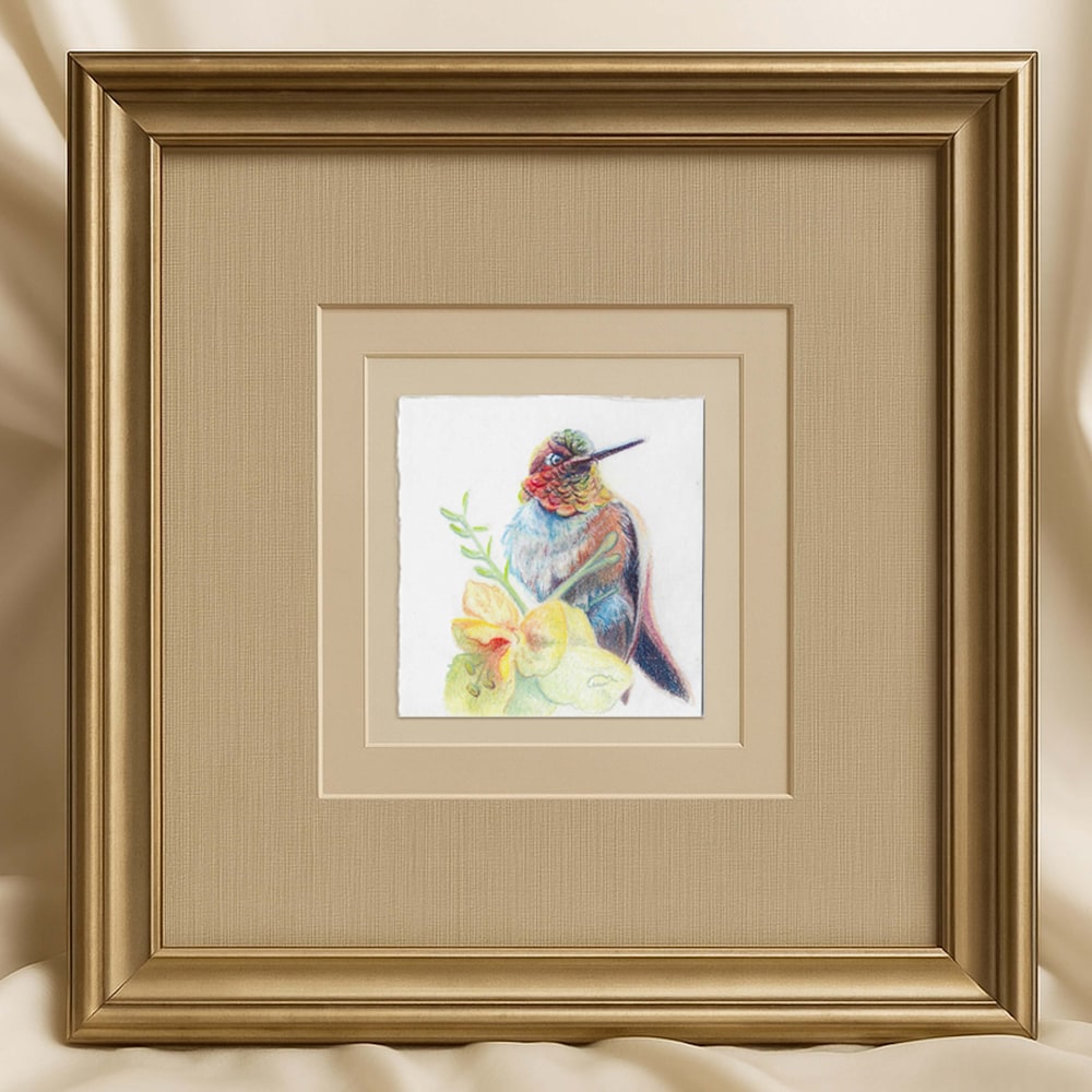 Framed color pencil artwork of a rufous hummingbird perched beside yellow desert blooms
