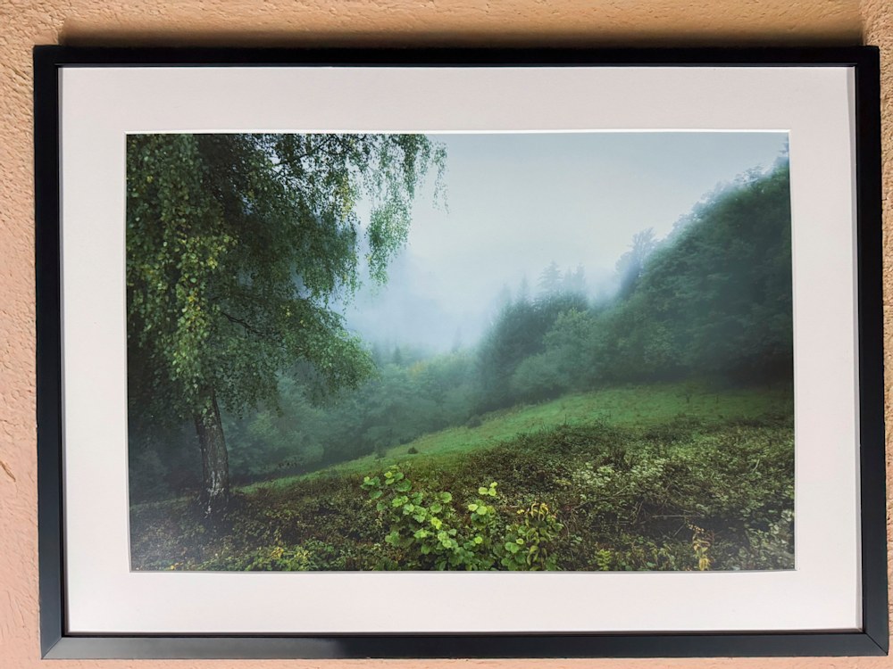 Mistymorning Jay Mason