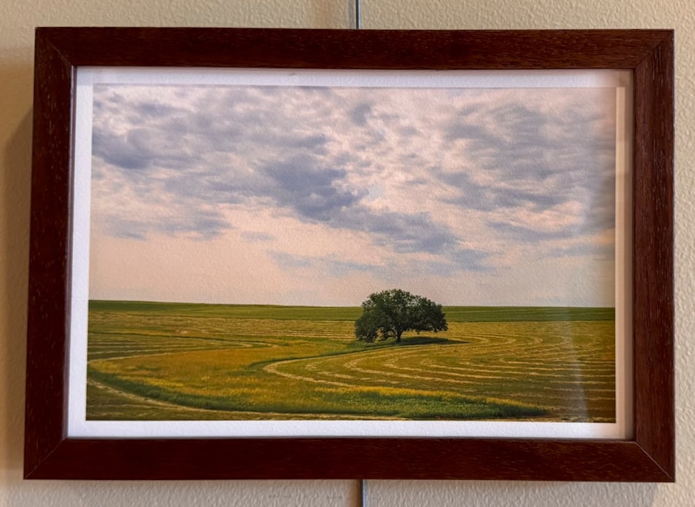 Badlandssavannahii Jay Mason (1)