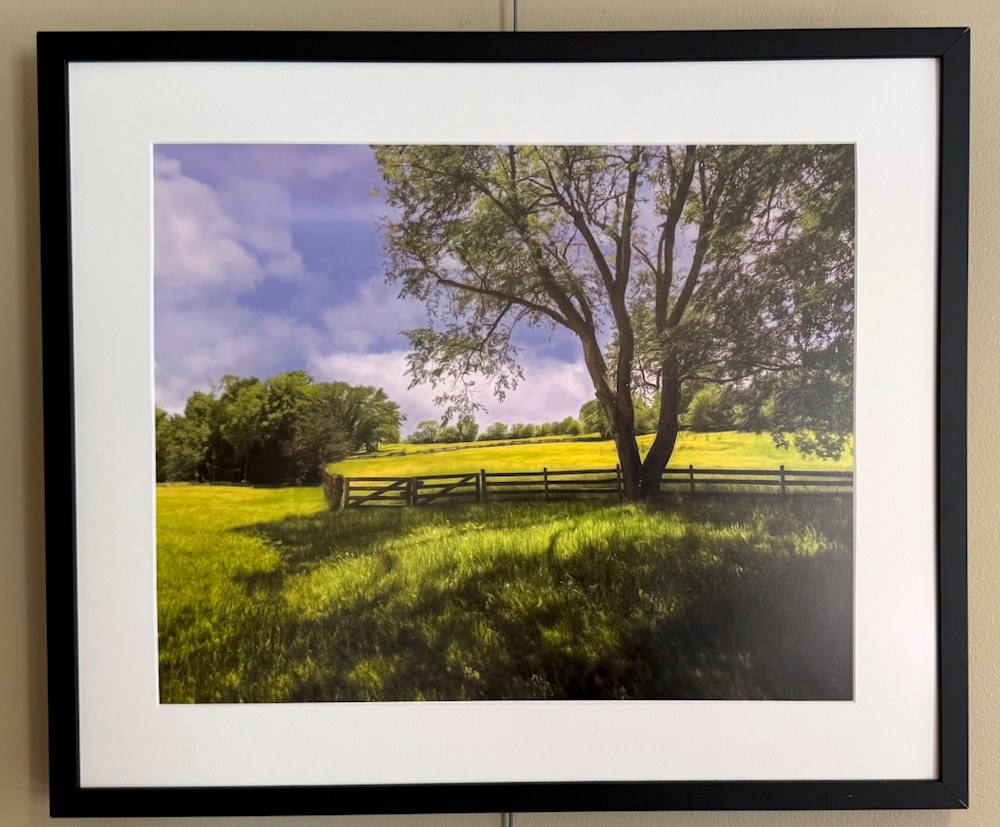 Lazyafternoon Jay Mason