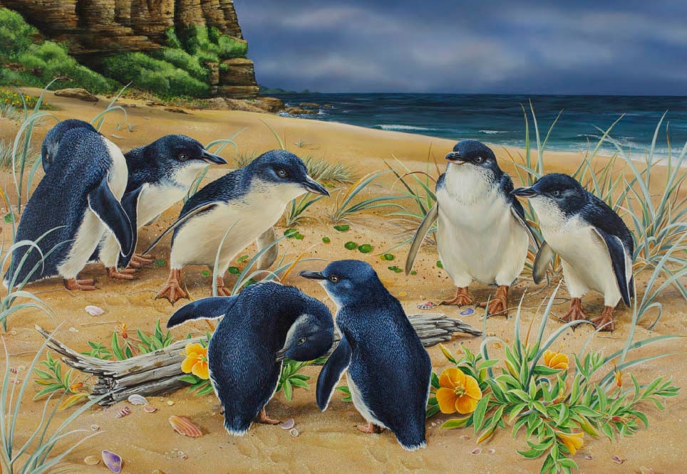 B114108 JLFAP   2025 Calendar 340x235mm LANDSCAPE Wildlife LR 22
