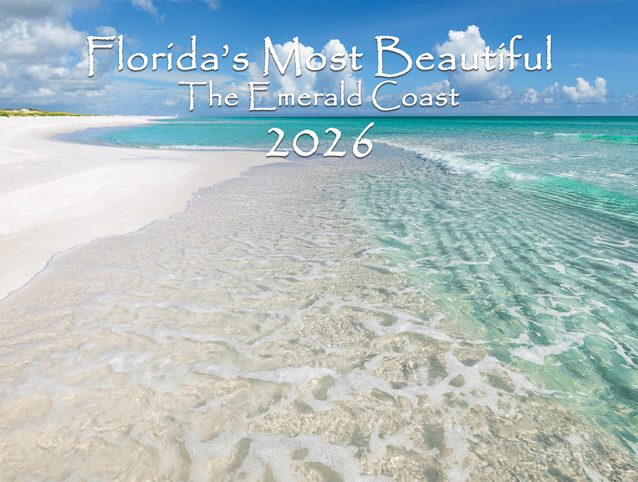 2026 Calendar 0000 Front Cover
