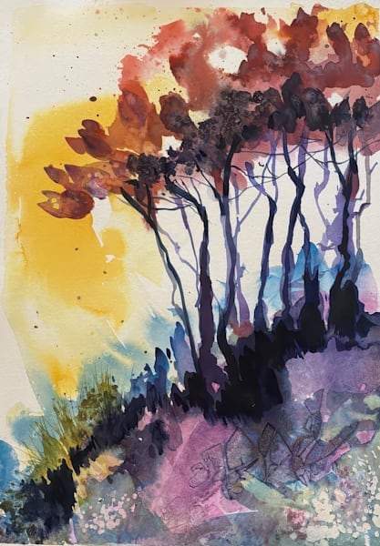 Trees By The Water 3 Debs Last k9fvex