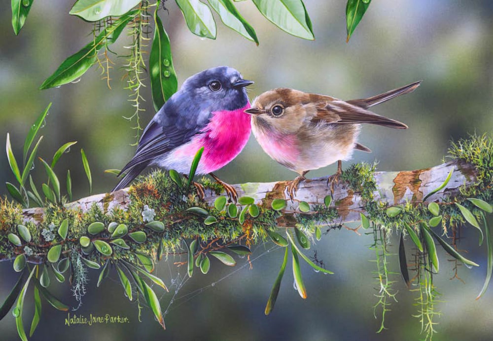 B114108 JLFAP   2026 Calendar 340x235mm LANDSCAPE Wildlife v4 LR 10