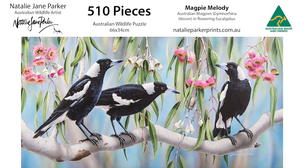Magpie Melody - Australian Magpies | 510-Piece Jigsaw Puzzle